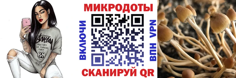 Псилоцибиновые грибы MAGIC MUSHROOMS  Высоцк 